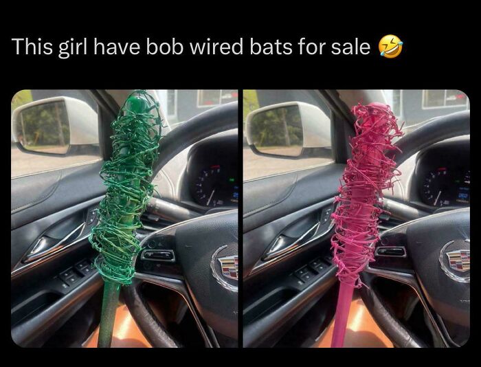 Photo showing two wired bats in a car with a humorous typo highlighting questionable intelligence.