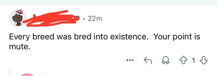 Social media comment showing a typo with "bred" instead of "bred," highlighting common typos that question intelligence.