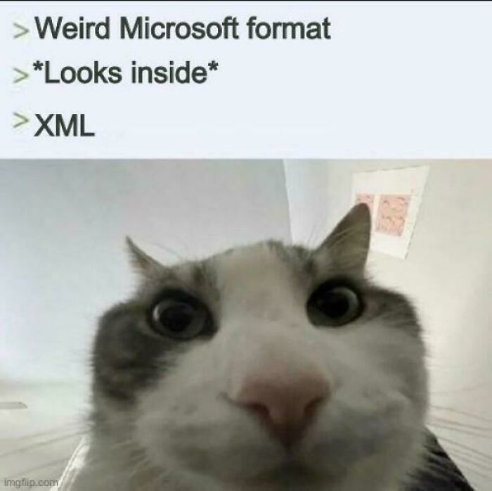 Close-up of a cat with wide eyes, captioned about discovering XML inside a weird Microsoft programming format.