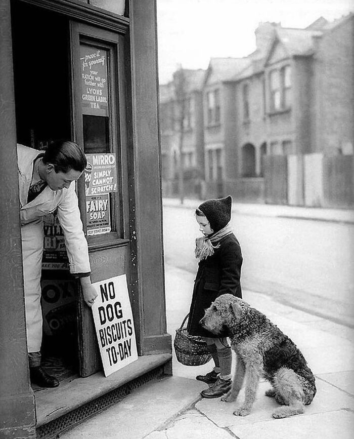 Somber photo showing a young girl and her dog being told no dog biscuits are available at a shop entrance.