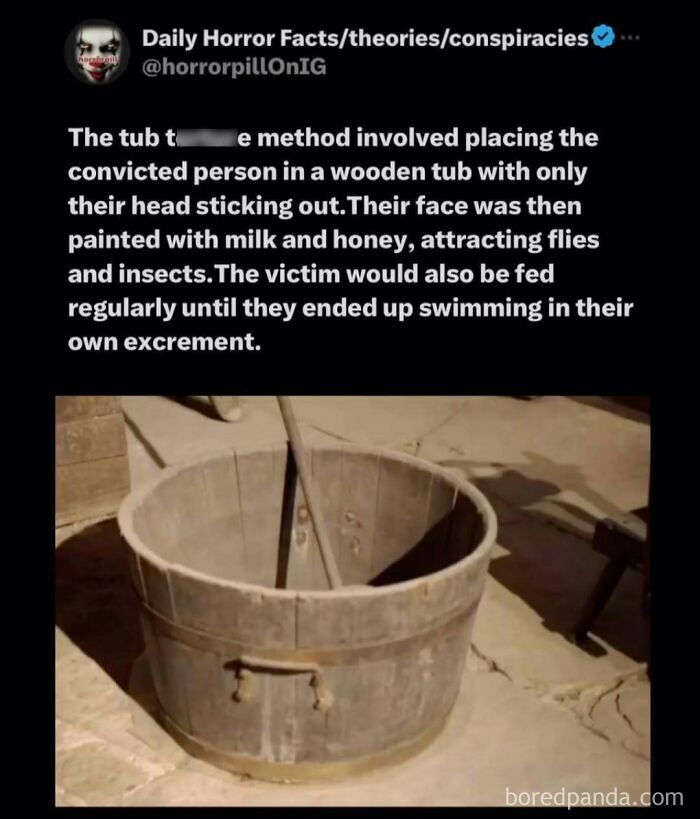 Wooden tub used in a historical t*****e method from the horror pill online group, attracting flies and insects.