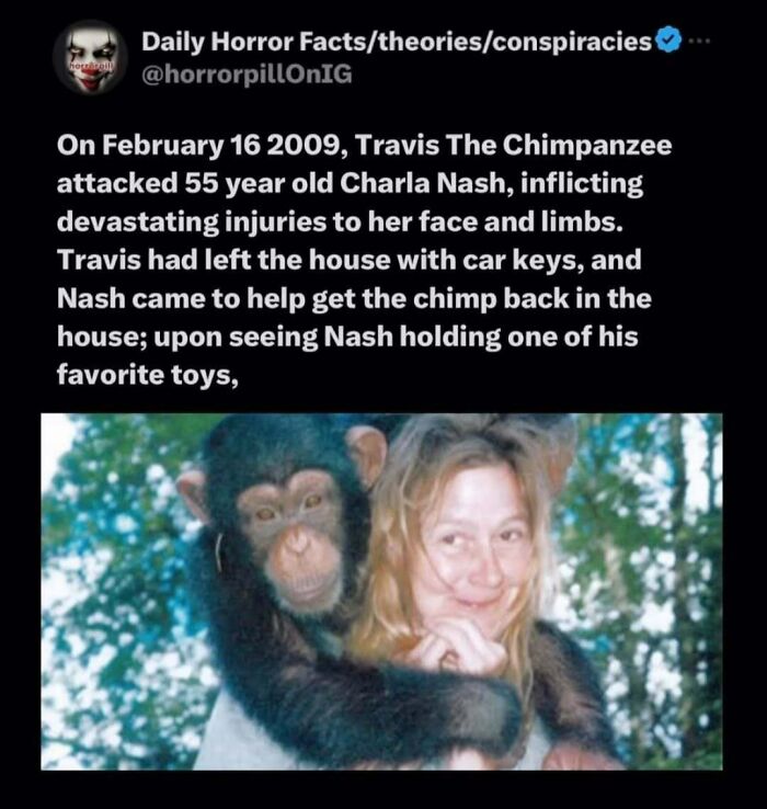 Screenshot from the Horror Pill online group showing a chimpanzee with a woman, related to unsettling horror facts.