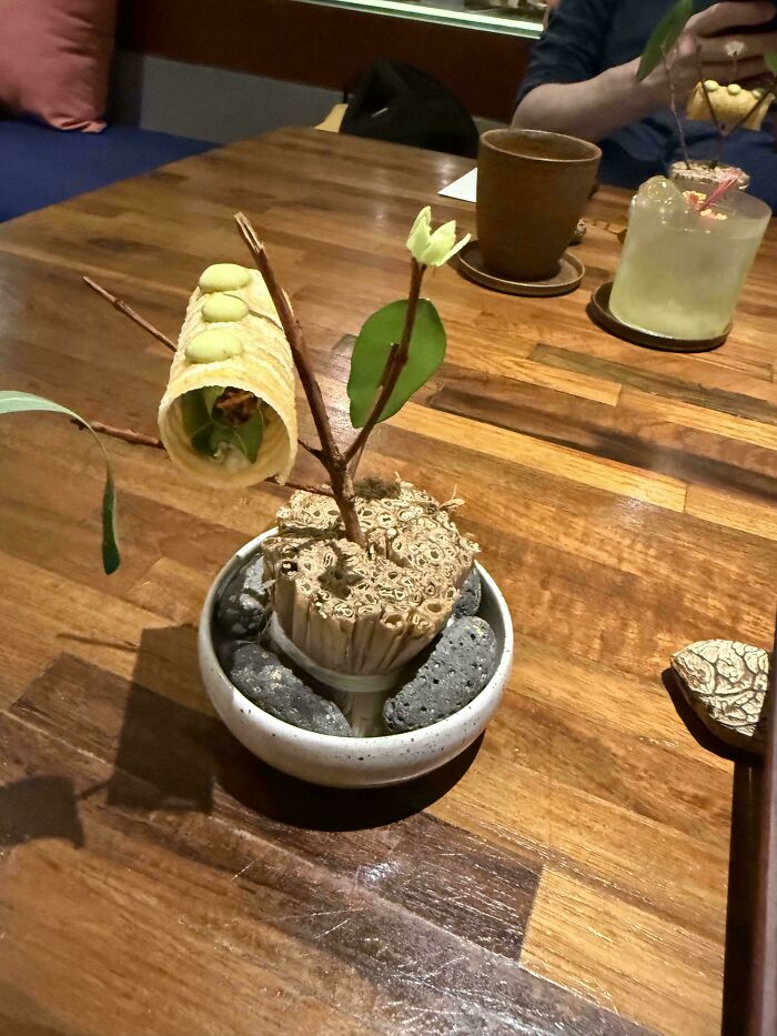 Creative food presentation with edible elements served on a branch over stones, showcasing ridiculous restaurant serving styles.