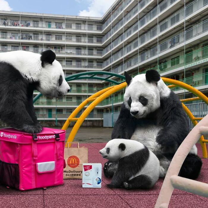 Three pandas playing in a Hong Kong playground with food delivery bags and colorful climbing equipment.