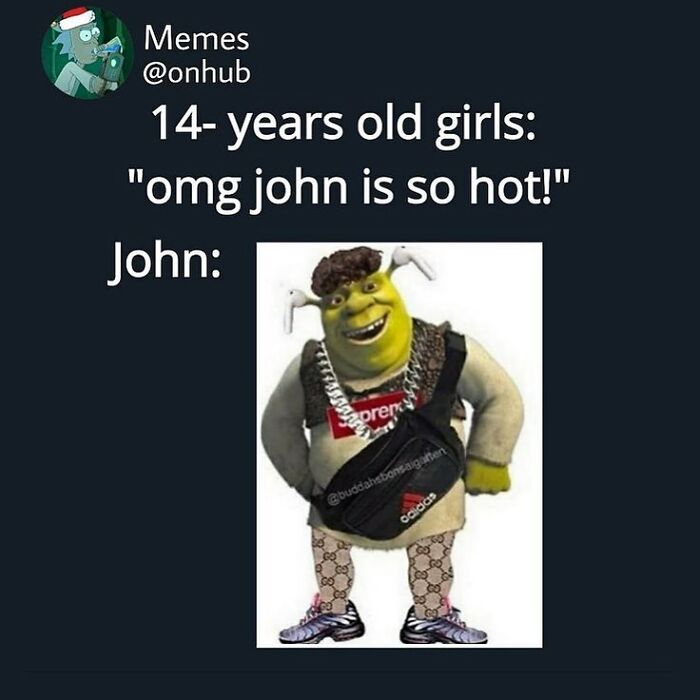 Meme of Shrek edited in streetwear fashion, showcasing weird and unhinged humor popular in internet meme culture.