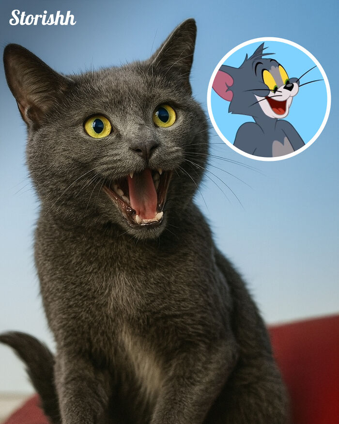 I Used AI To Bring Tom & Jerry Into The Real World (9 Pics)