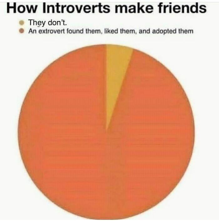 Pie chart meme showing how introverts make friends, highlighting unhinged humor for those who like weird type of humor.