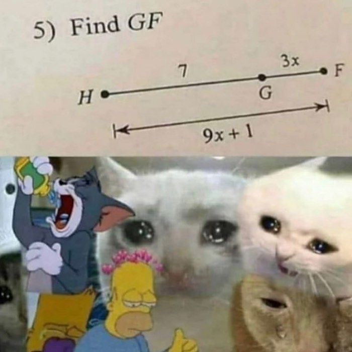 Math problem with sad and funny cat and cartoon memes, representing weird and unhinged humor memes.