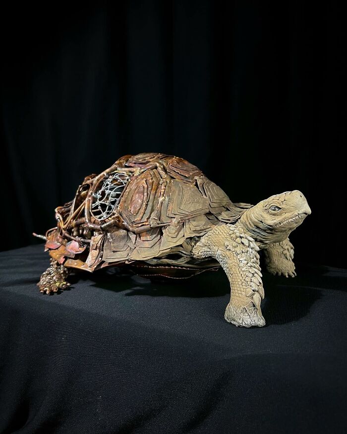 Tortoise sculpture made from scrap metal and detailed textures, showcasing striking animal sculptures by an artist.