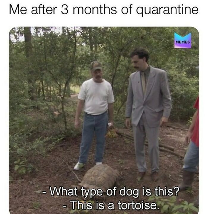 Quarantine Brain Fog