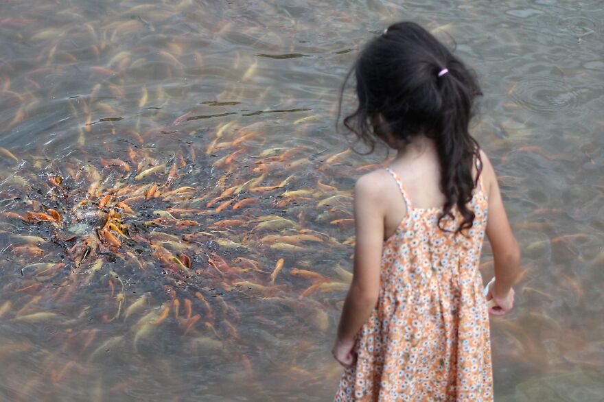 Beware Of Camera Ambush .