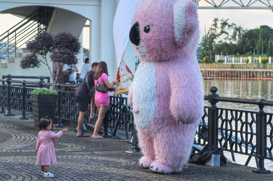 Beware Of Camera Ambush .