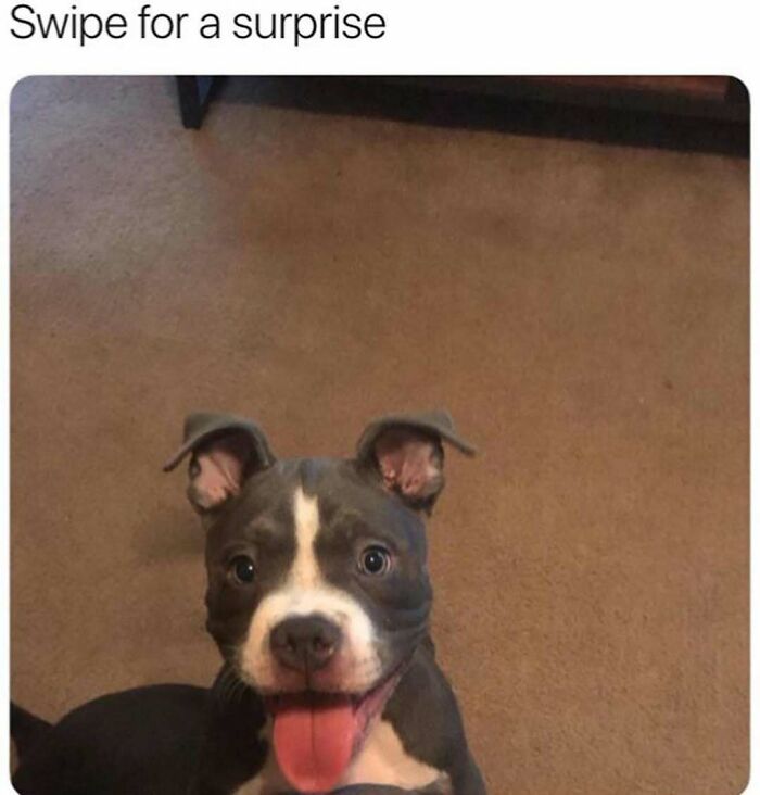 Expect the Unexpected