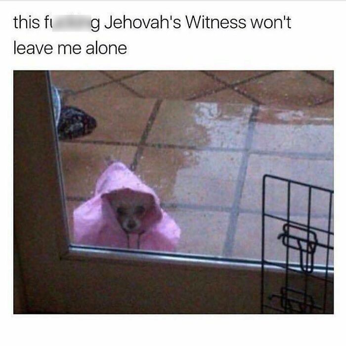 Persistent Visitor Problems