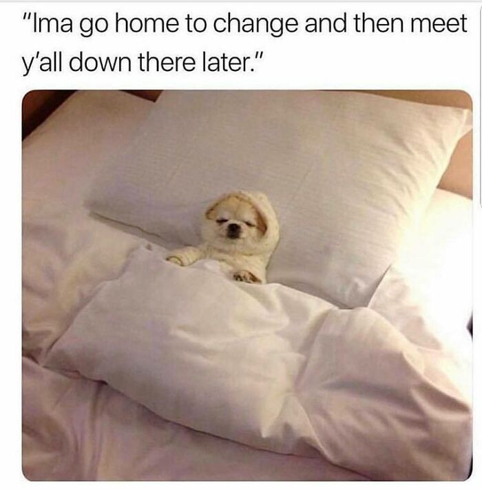 Couch Potato Mode Activated