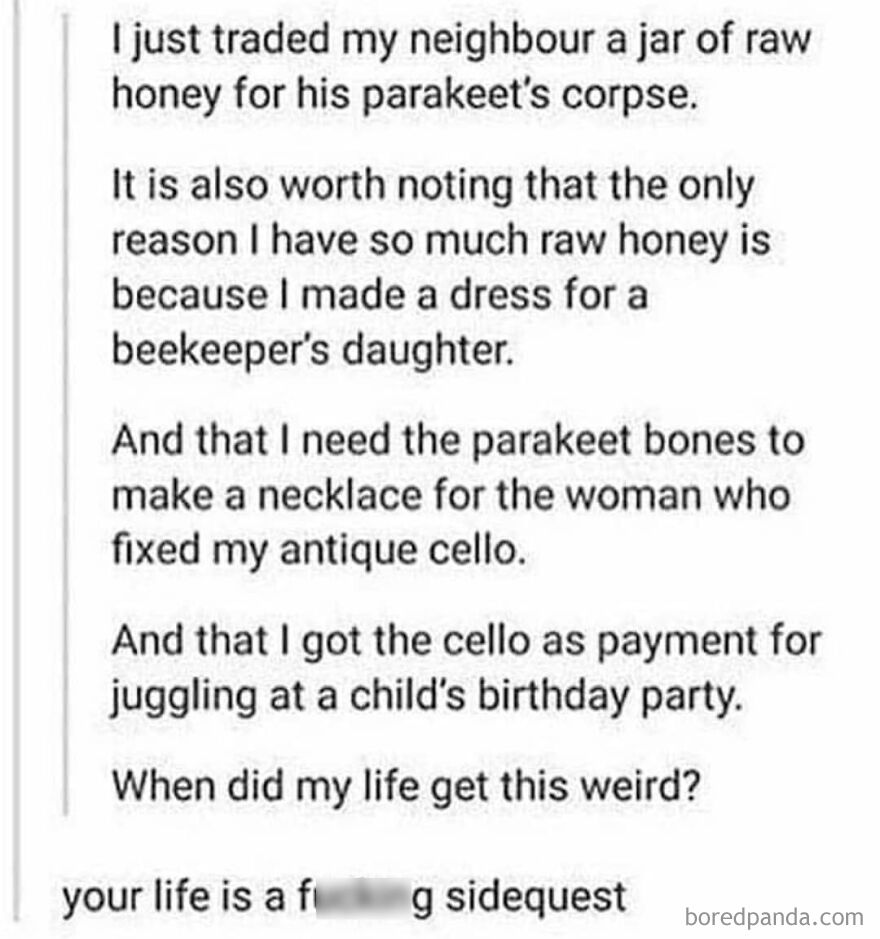 Text post describing a bizarre true story involving trading raw honey, a parakeet's corpse, and an antique cello.
