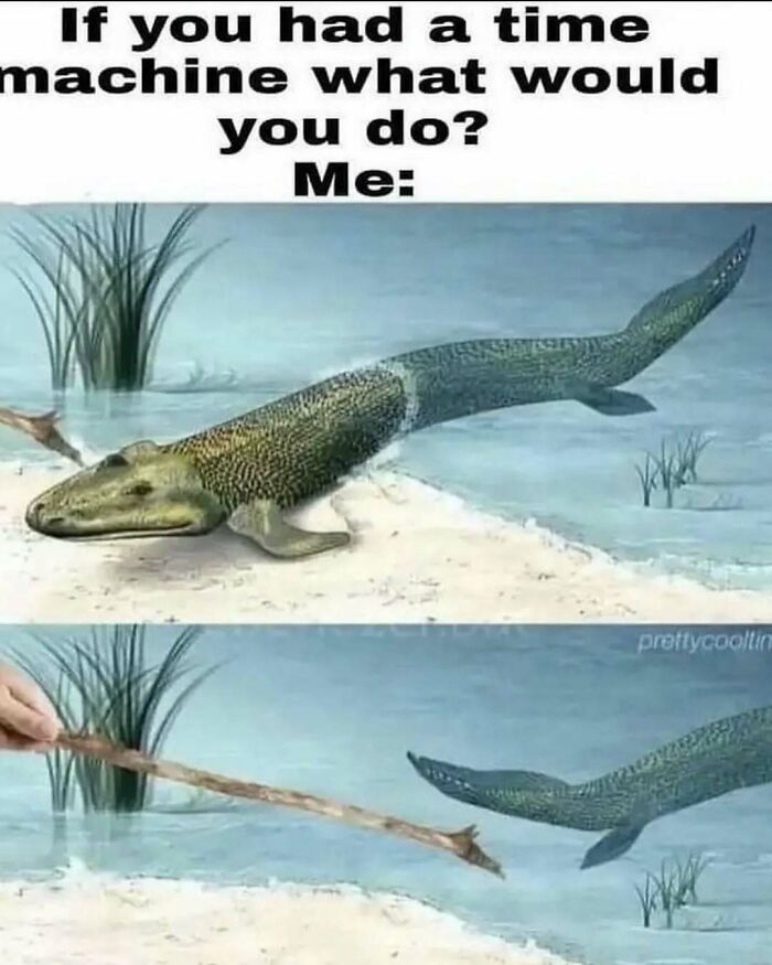 Meme showing a prehistoric fish reacting humorously to a stick, illustrating casual nihilism relatable humor.