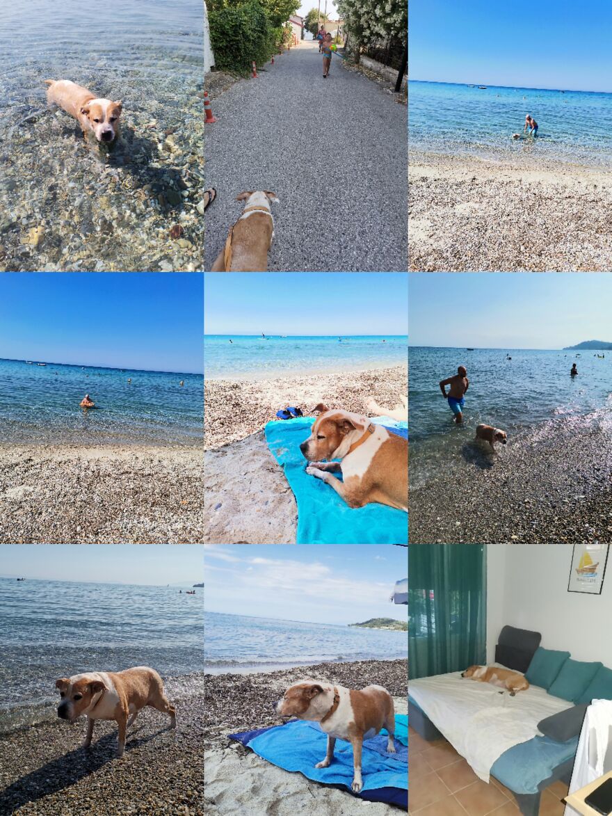 Dina ❤️ Dina ❤️