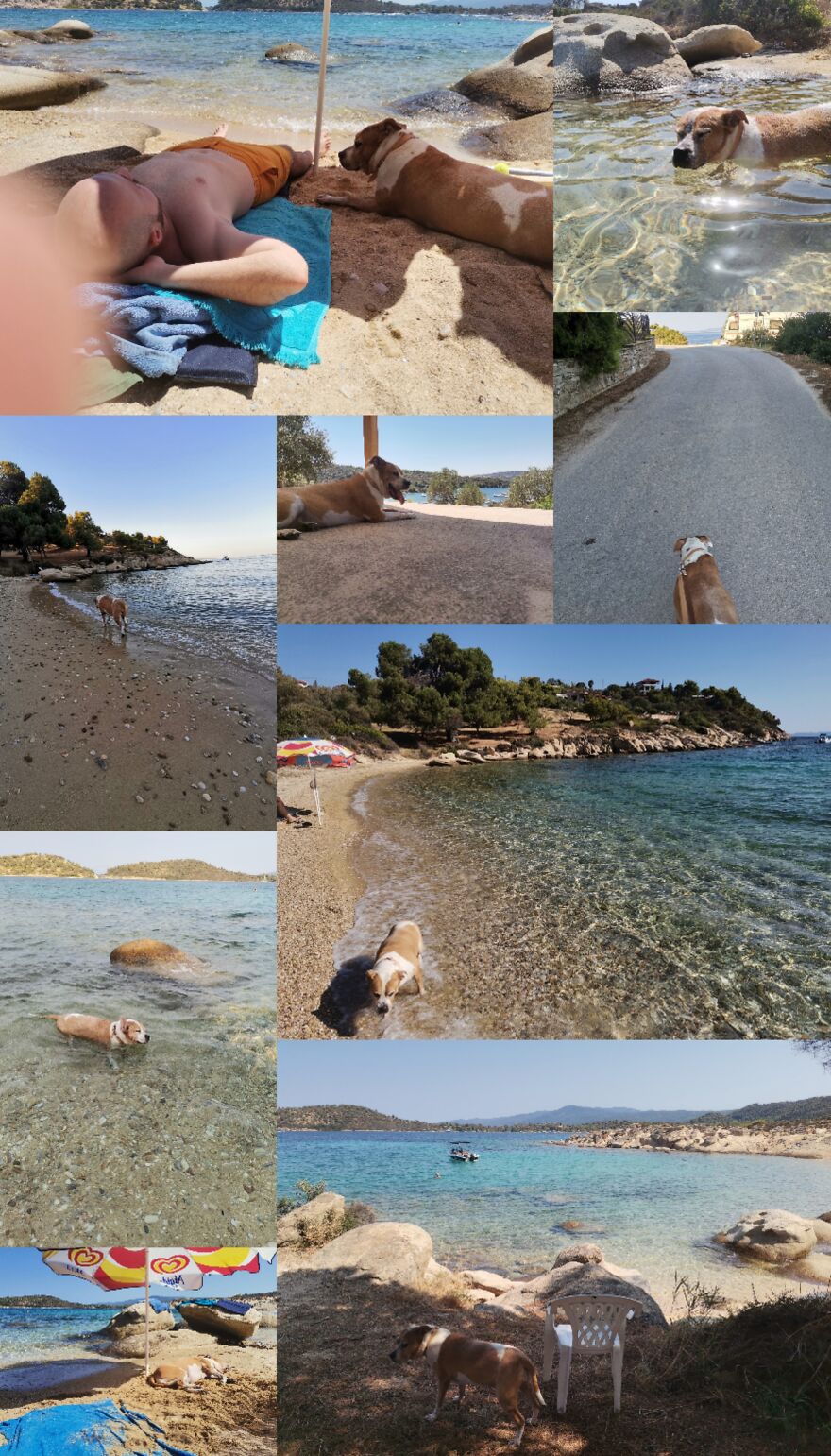 Dina ❤️ Dina ❤️