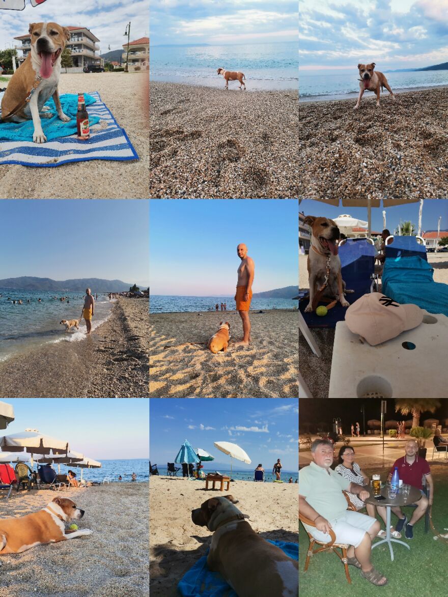 Dina ❤️ Dina ❤️