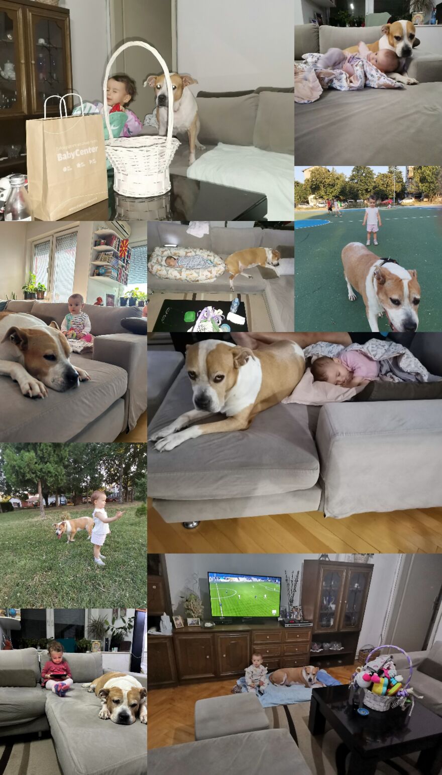 Dina ❤️ Dina ❤️