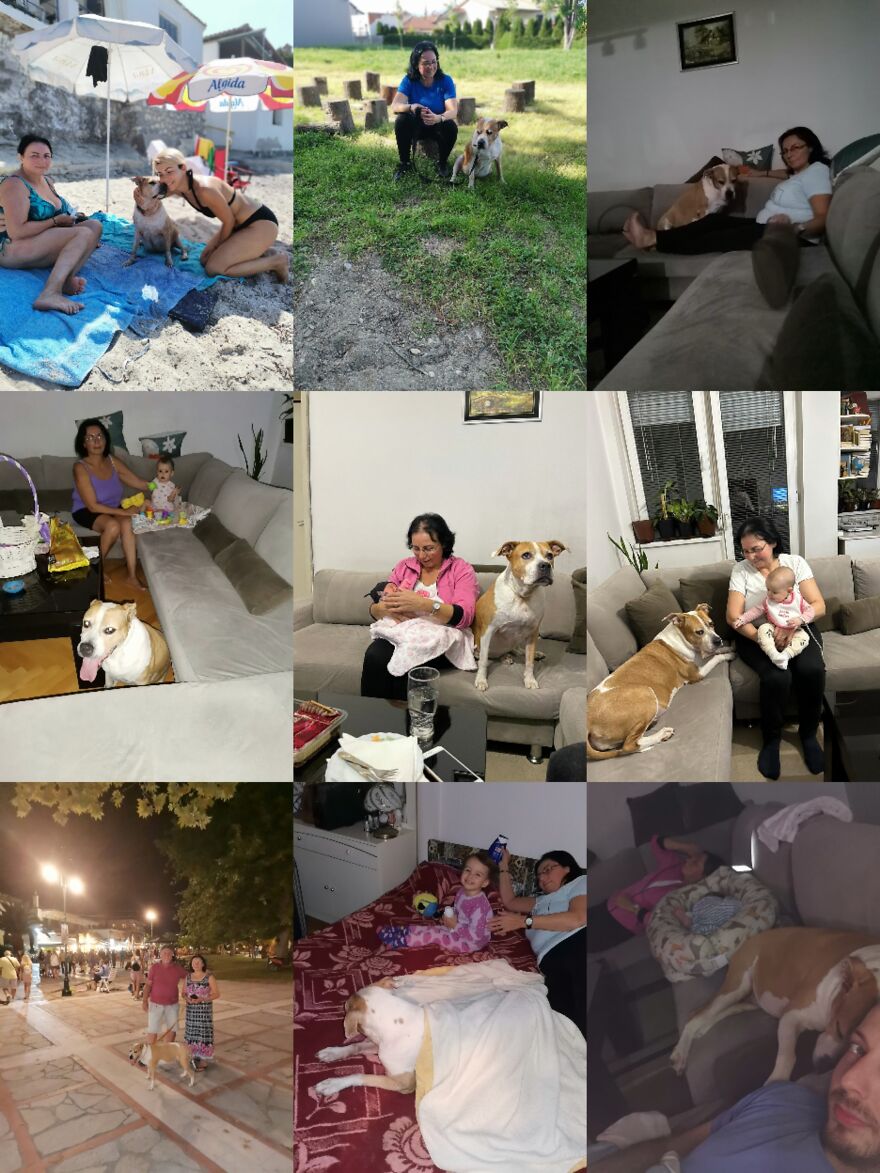 Dina ❤️ Dina ❤️