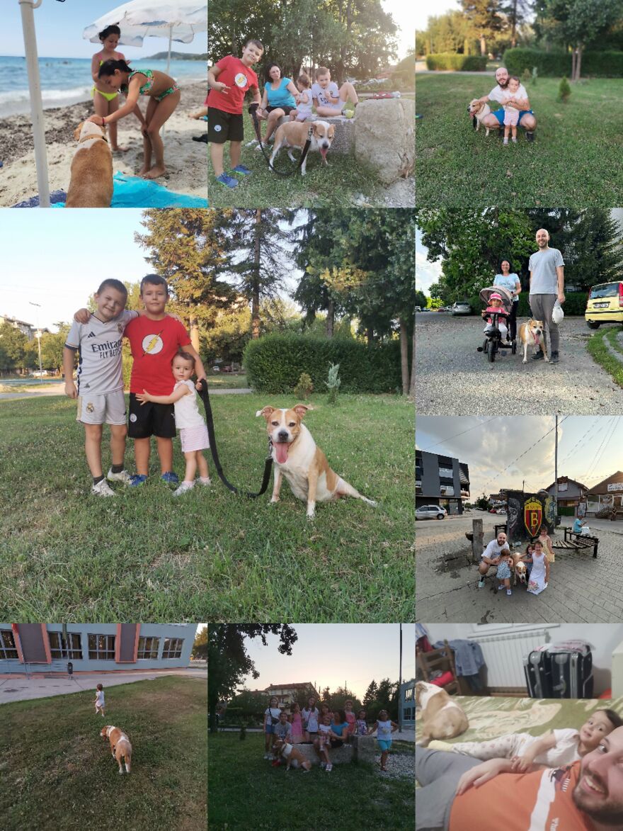 Dina ❤️ Dina ❤️