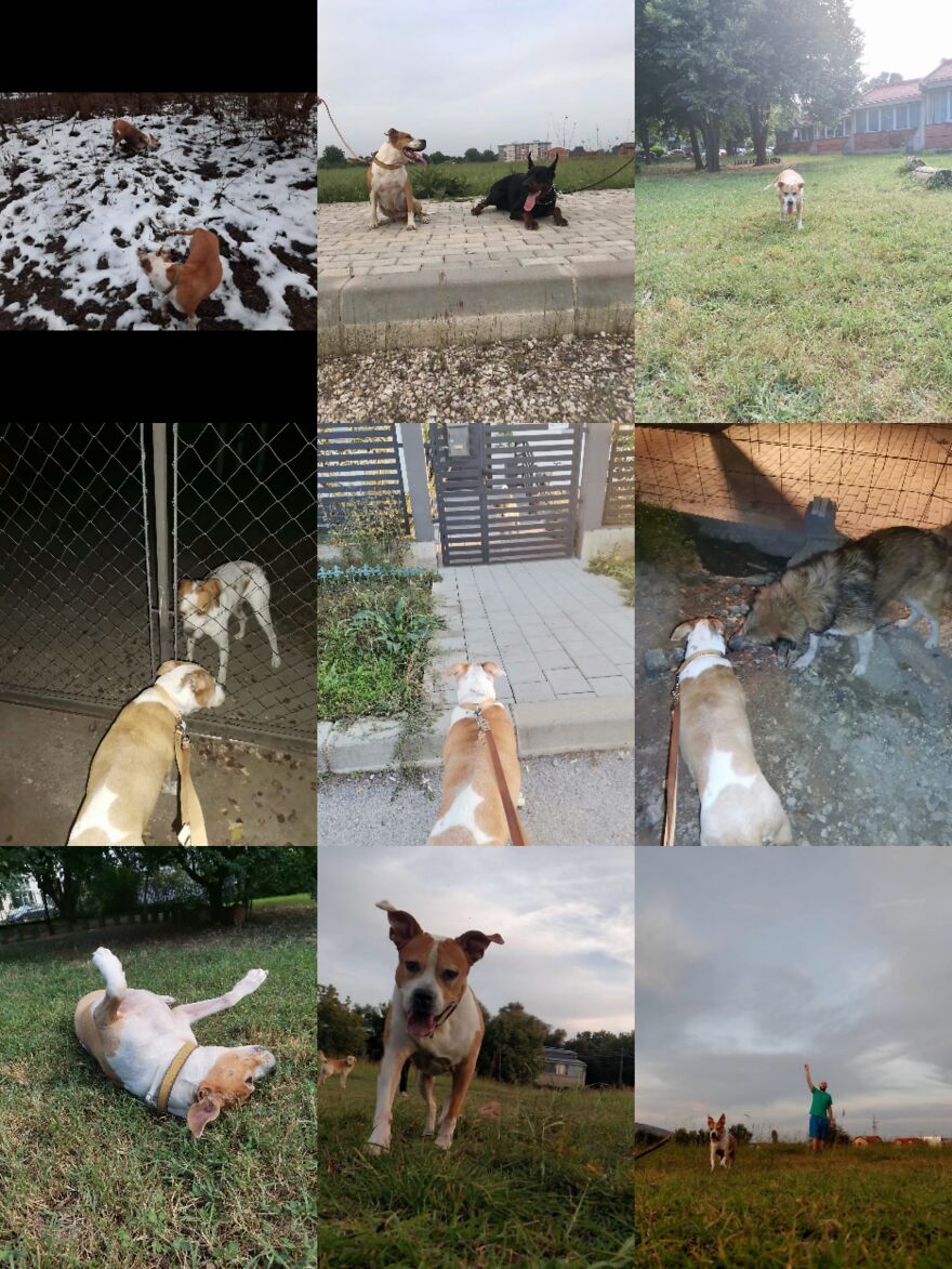 Dina ❤️ Dina ❤️