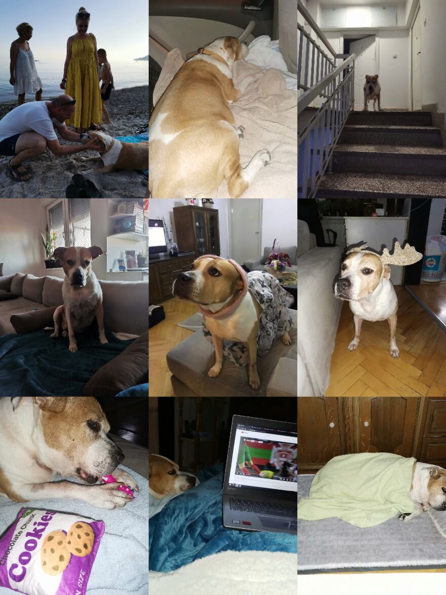 Dina ❤️ Dina ❤️