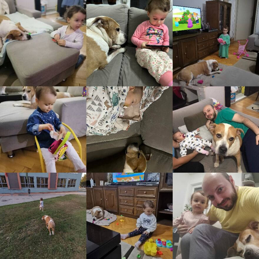 Dina ❤️ Dina ❤️