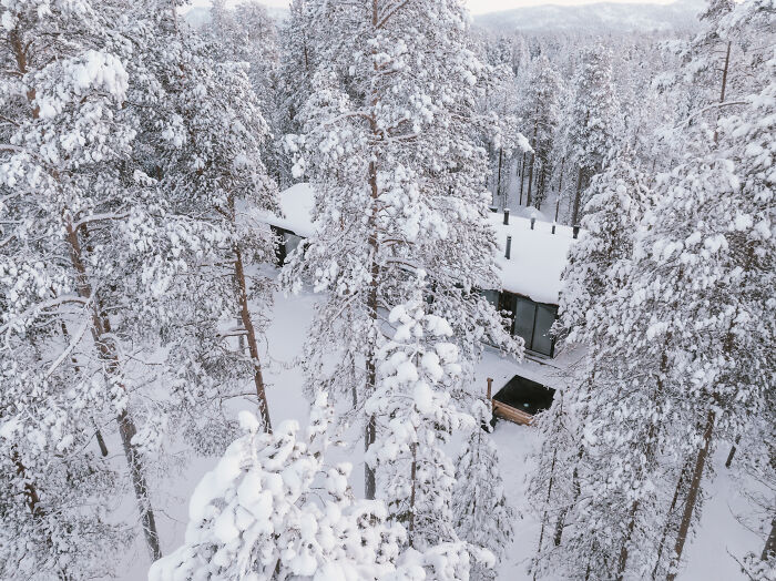 Snow-covered cabin in the woods surrounded by tall pine trees, showcasing a peaceful forest retreat in winter. Snow-covered cabin in the woods surrounded by tall pine trees, showcasing a peaceful forest retreat in winter.