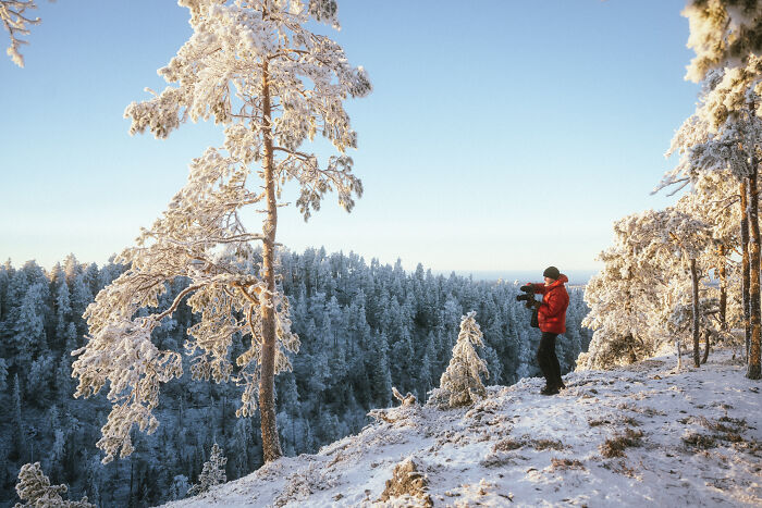 Person in a red jacket filming snowy pine trees in the woods, capturing serene cabin in the woods nature scene. Person in a red jacket filming snowy pine trees in the woods, capturing serene cabin in the woods nature scene.