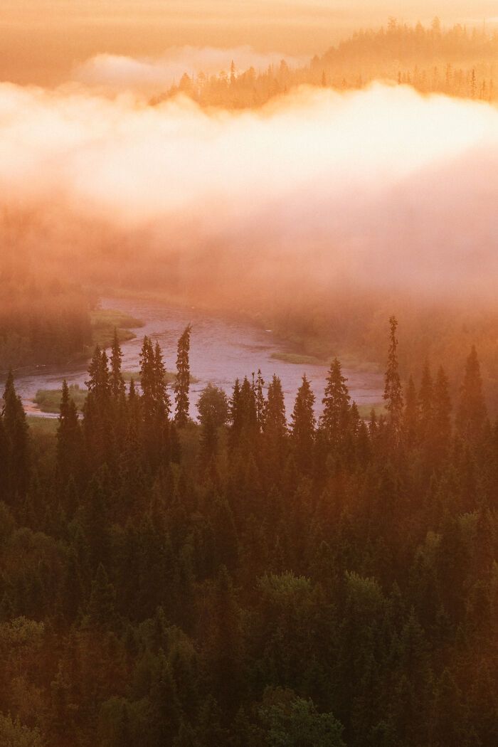 Golden mist over a dense forest and river, capturing the serene cabin in the woods and nature’s true home ambiance. Golden mist over a dense forest and river, capturing the serene cabin in the woods and nature’s true home ambiance.
