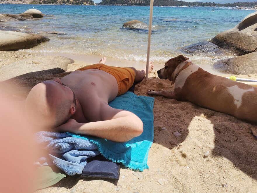 Everything I Know About Love, I Learned From My Dog Everything I Know About Love, I Learned From My Dog