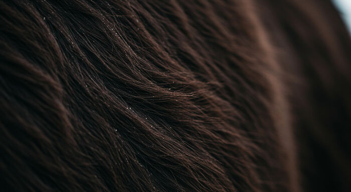 Best Nature Macro Shots I Captured Last Week