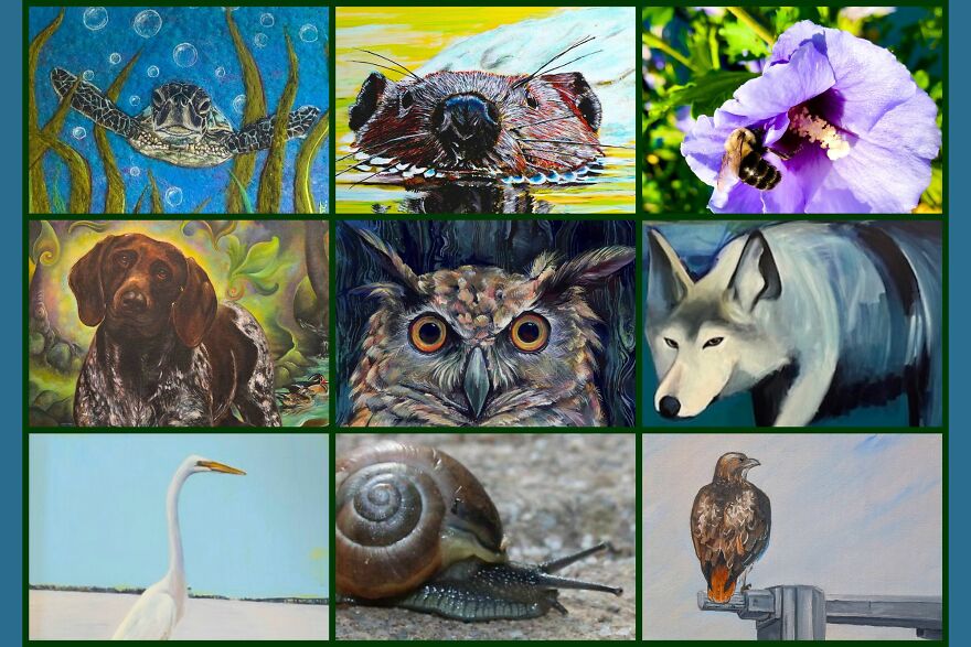 9 Artists Explore A Visual Dialogue With Nature’s Neighbors