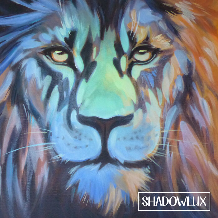 Lion During The Day But He Is Glowing On The Nose Area