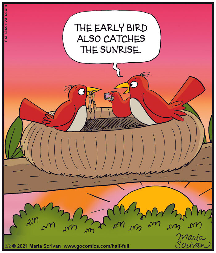 Two funny cartoon birds in a nest at sunrise, one holding a phone, illustrating hilarious comics with absurd situations.