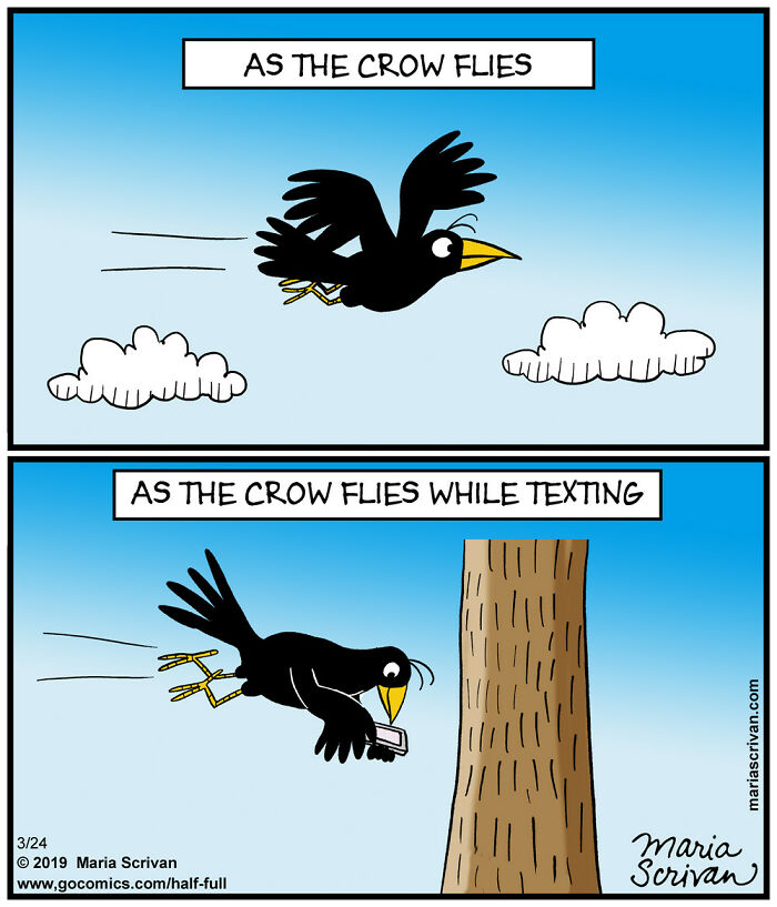 Comic featuring funny characters with a crow flying normally and then texting while flying into a tree.