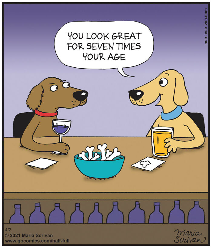 Two dogs sitting at a bar with drinks and bones, in a hilarious comic featuring funny characters and absurd situations.