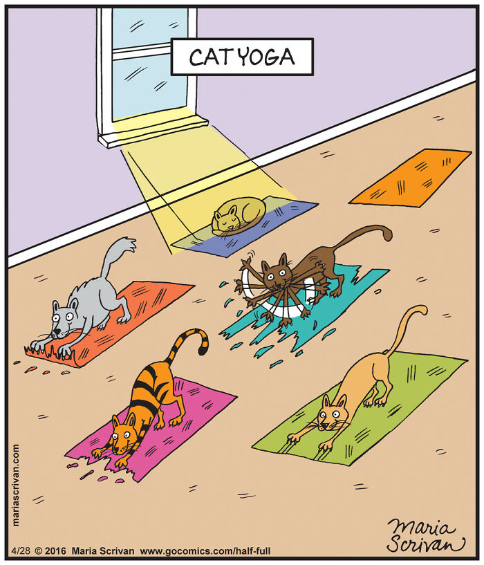 Comic panel showing funny characters as cats doing absurd yoga poses labeled Cat Yoga in a humorous comic style.