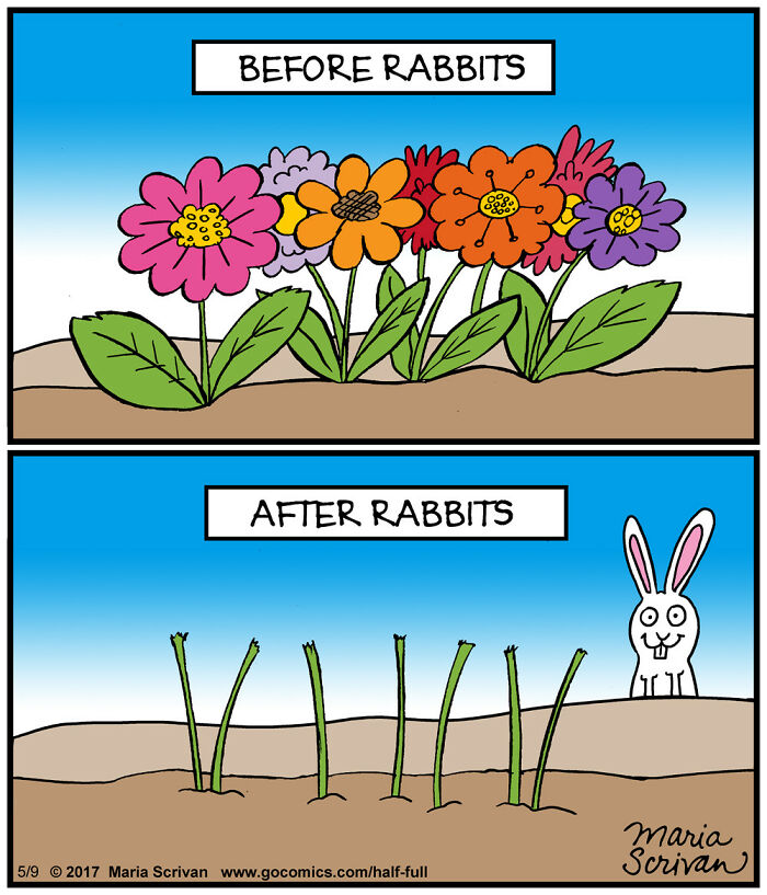 Comic panel showing colorful flowers before rabbits and only stems with a rabbit after, featuring funny characters and absurd situations.