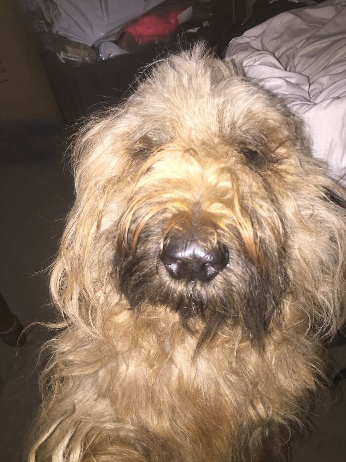 Hey Mum - I've Been Playing Out In The Mud