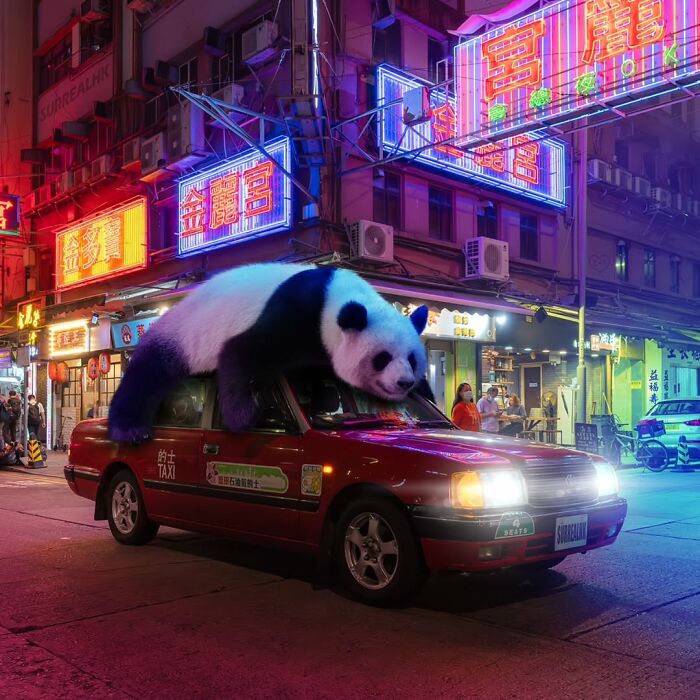 Giant panda edit on a Hong Kong taxi in a neon-lit street scene, showcasing surreal panda edits in urban settings.