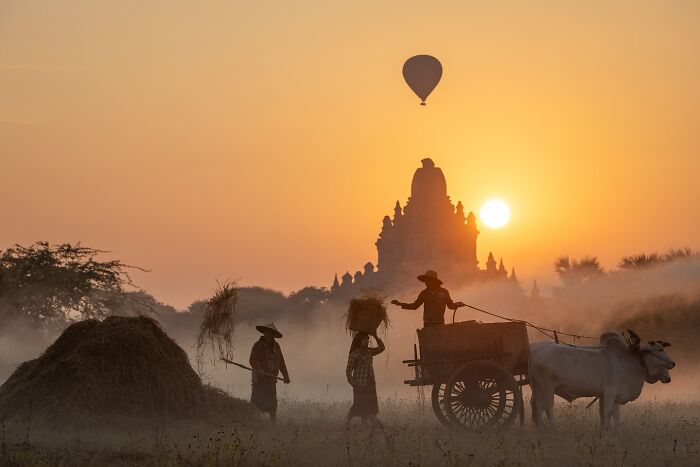 Asian rural scene at sunrise with farmers, an ox cart, hot air balloon, and ancient temple capturing the soul of Asia.