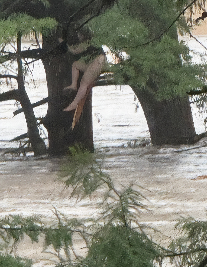 River Surged 20 Feet In 90 Minutes, Leaving Trail Of Loss And Despair At Texas Camp River Surged 20 Feet In 90 Minutes, Leaving Trail Of Loss And Despair At Texas Camp
