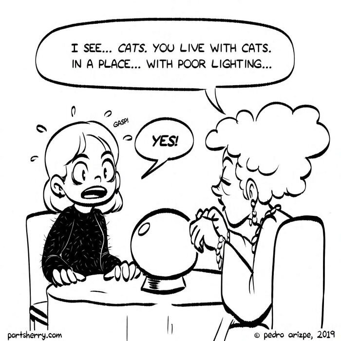 Comic from Port Sherry showing a surprised woman consulting a fortune teller with a crystal ball in black and white.
