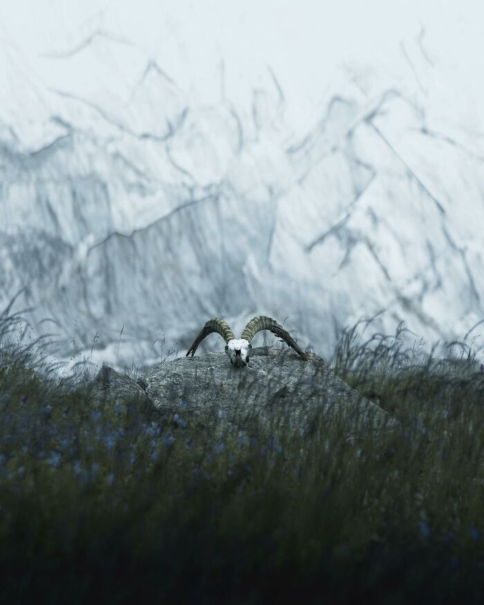 Mountain landscape with a ram skull on rock surrounded by grass, showcasing breathtaking landscape photography with fantasy movie vibes.