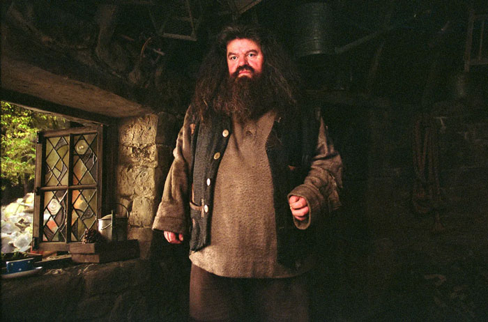 Hagrid's first look in the upcoming series shown in a dimly lit rustic room with stone walls and wooden window frame. Hagrid's first look in the upcoming series shown in a dimly lit rustic room with stone walls and wooden window frame.