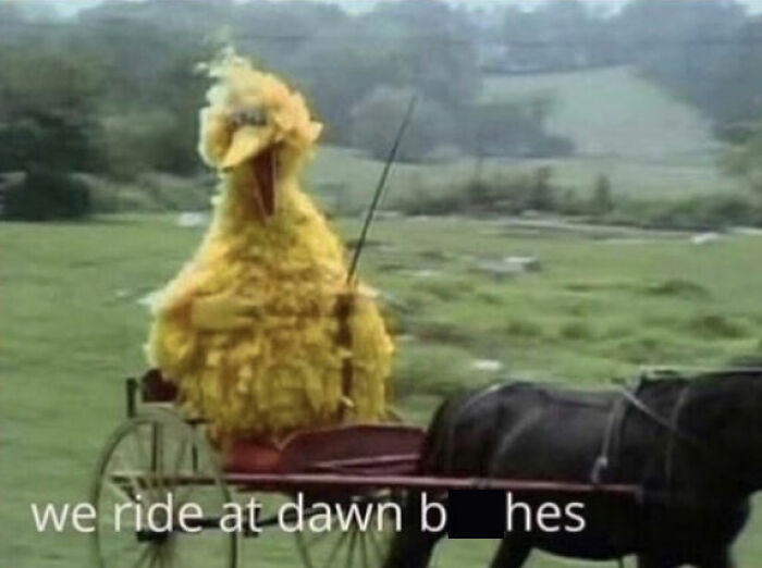 Big Bird in a horse-drawn carriage meme with caption about riding at dawn, popular favorite meme format.